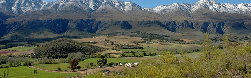 Food to Try in Oudtshoorn, South Africa: A Taste of the Klein Karoo
