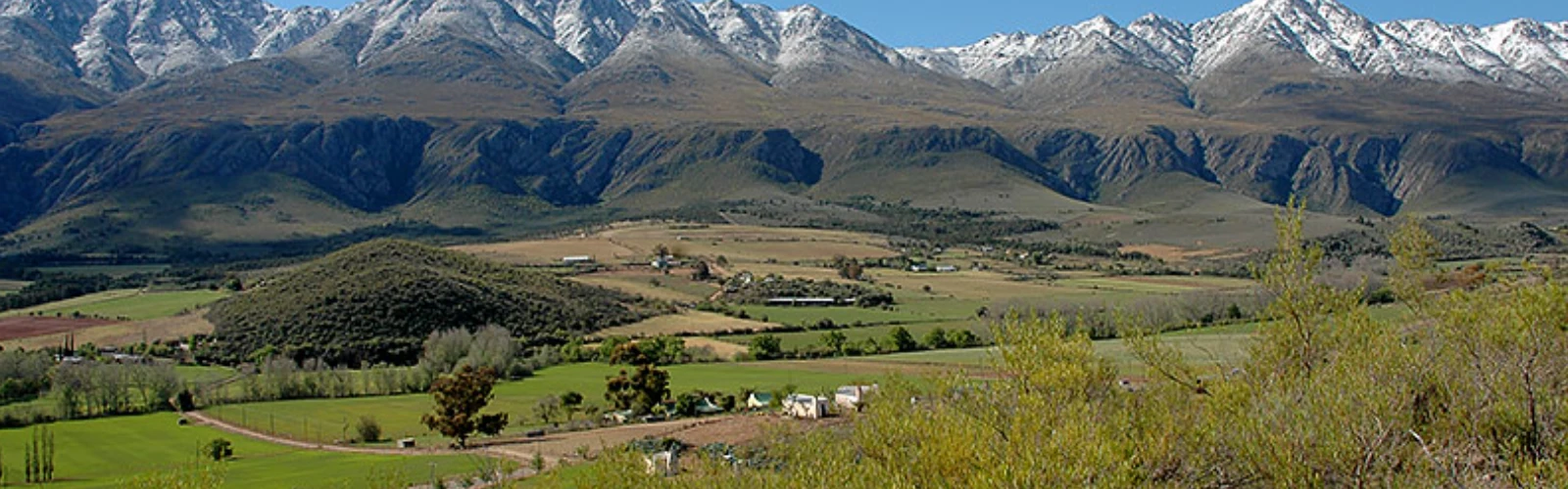 Shopping in Oudtshoorn: Where Culture Meets Craft