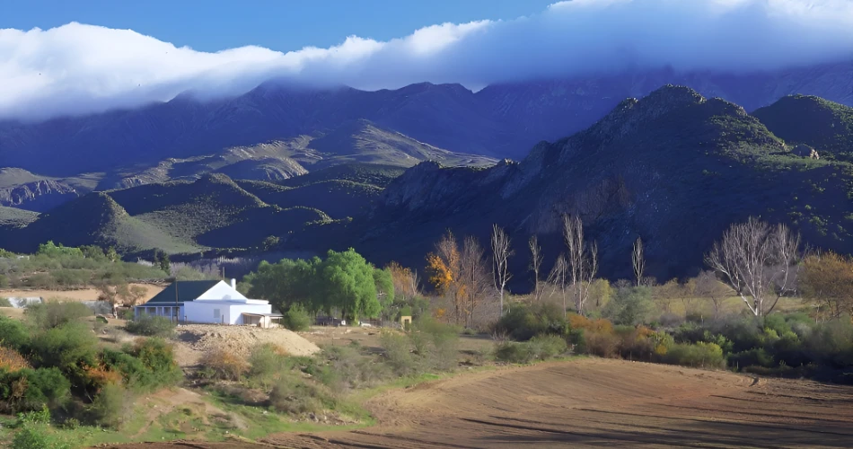 Oudtshoorn Travel Guide: The Ostrich Capital of the World