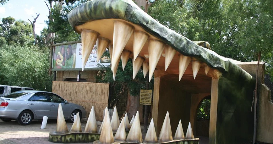 Things to Do in Oudtshoorn, South Africa: The Ultimate Adventure Guide